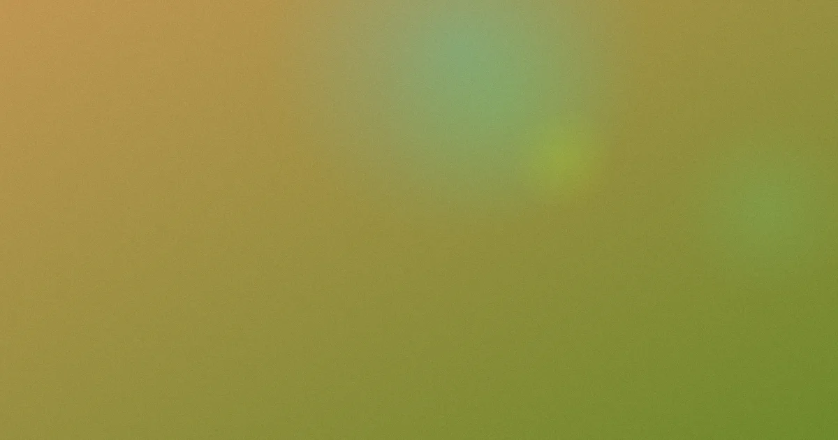 午夜福利视频网避坑深度解析